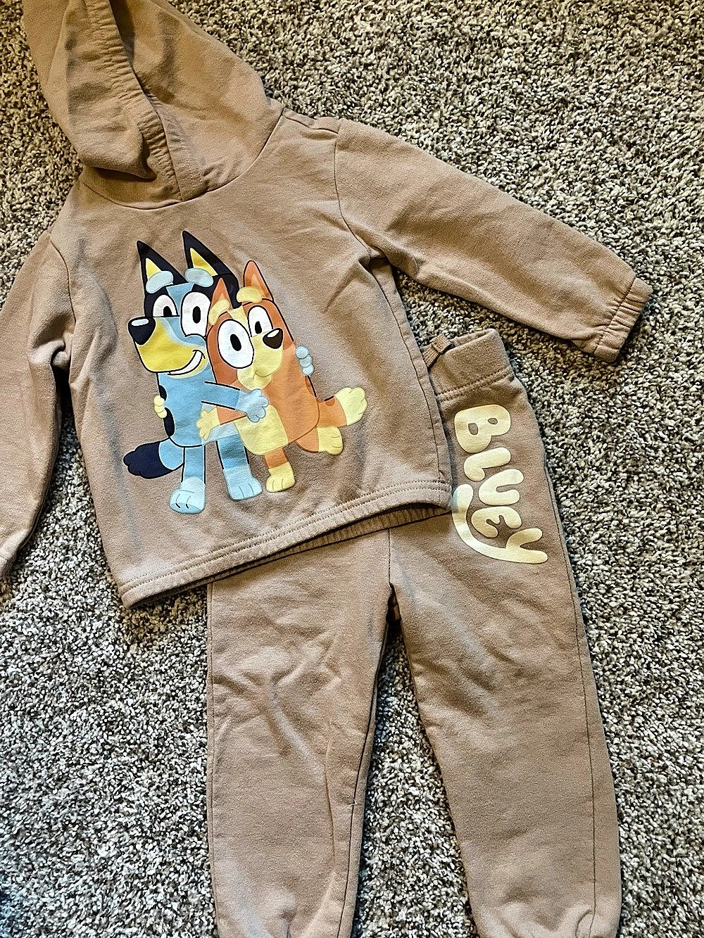Bluey and Bingo 24M Hoodie and Jogger Pants Set